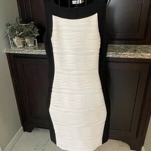 Calvin Klein Black and White Silhouette Dress